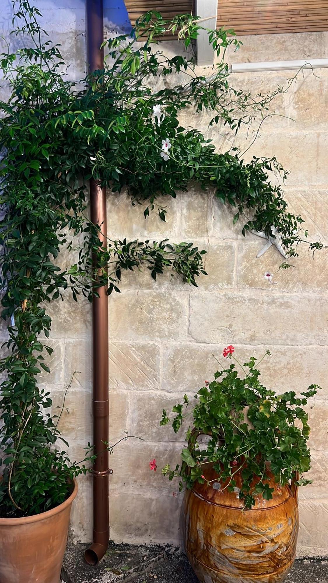 Suite Battisti 7 Lecce Exterior foto